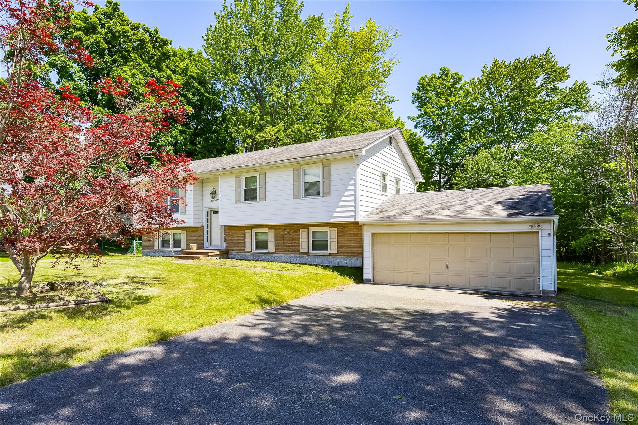 19 Tor Road Property Photo 1