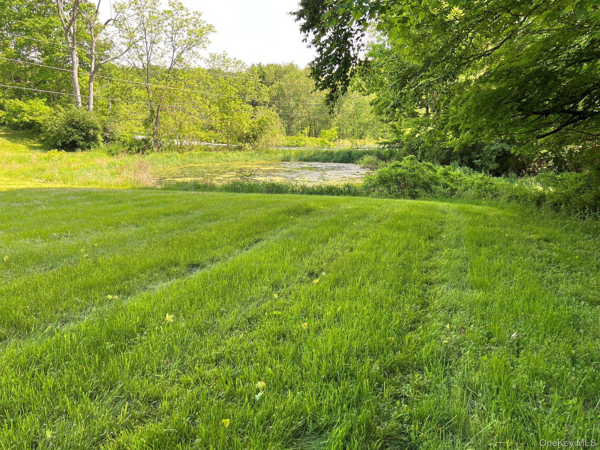 559 Shunpike Property Photo 4