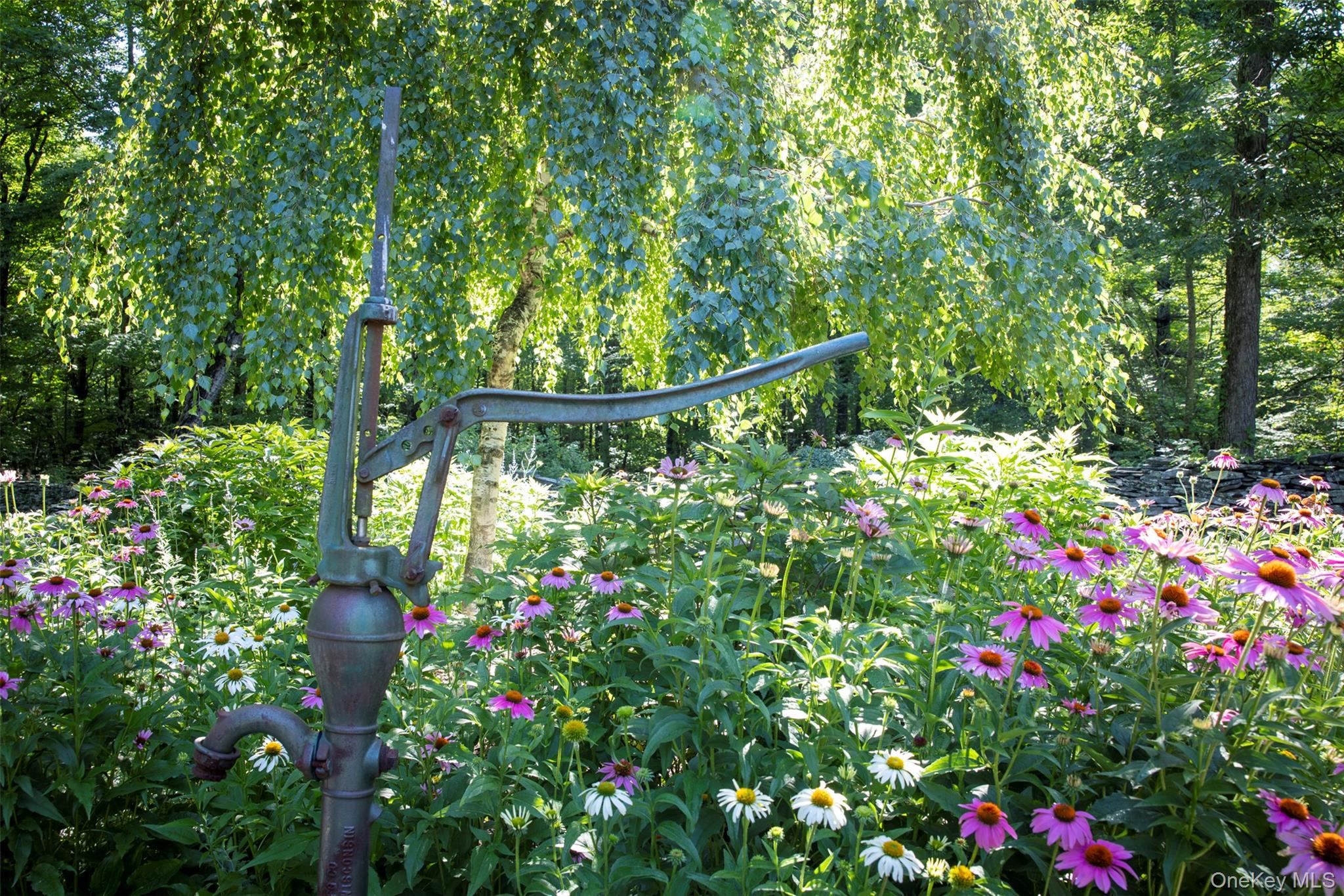 19 Blues Quarry Property Photo 4