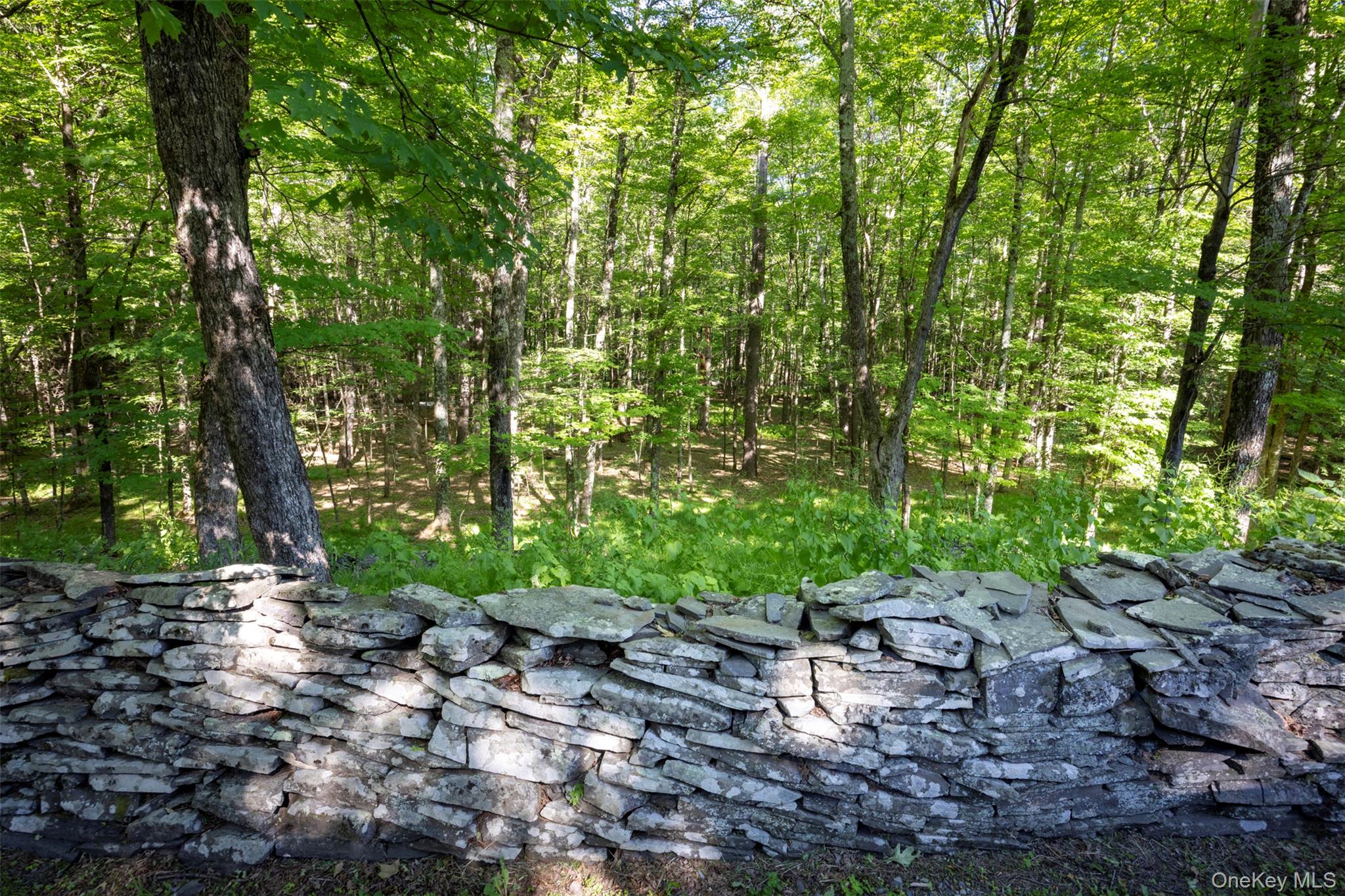 19 Blues Quarry Property Photo 34