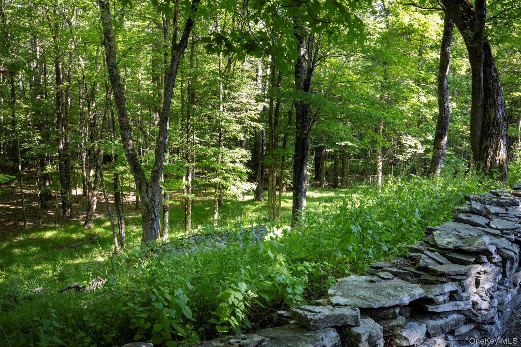 19 Blues Quarry Property Photo 35