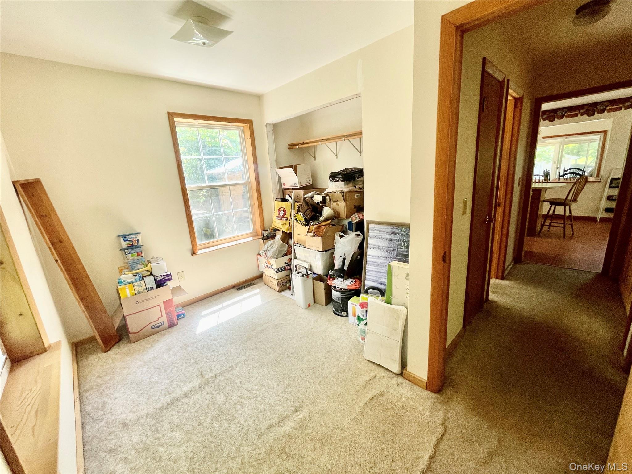 176 Downing Road Property Photo 16