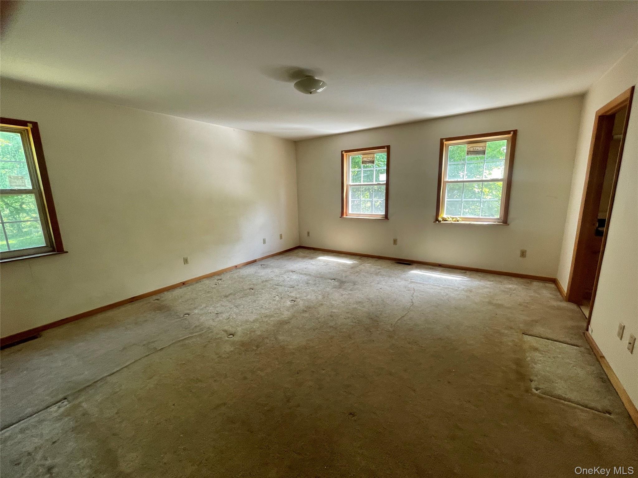 176 Downing Road Property Photo 22