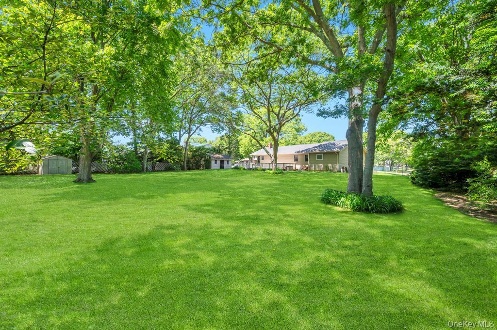 8 Camille Lane Property Photo 5