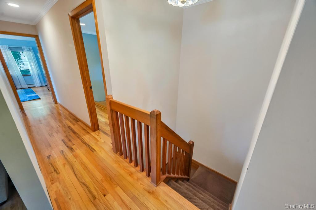 8 Camille Lane Property Photo 34