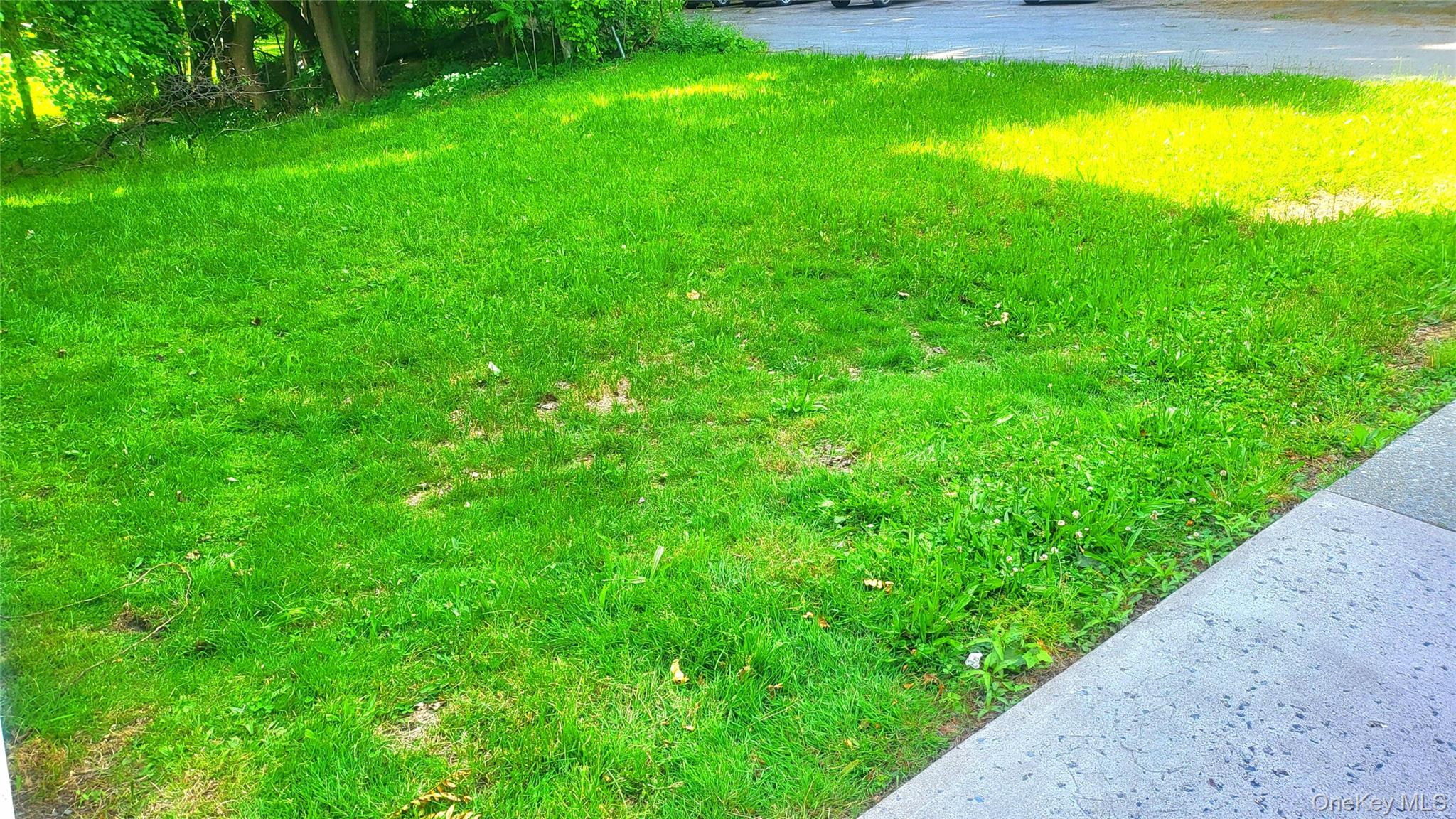 1 Mansion Street Property Photo 39