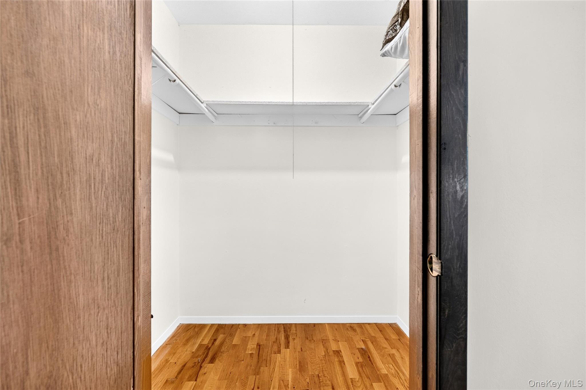 81 Poplar Street Property Photo 24