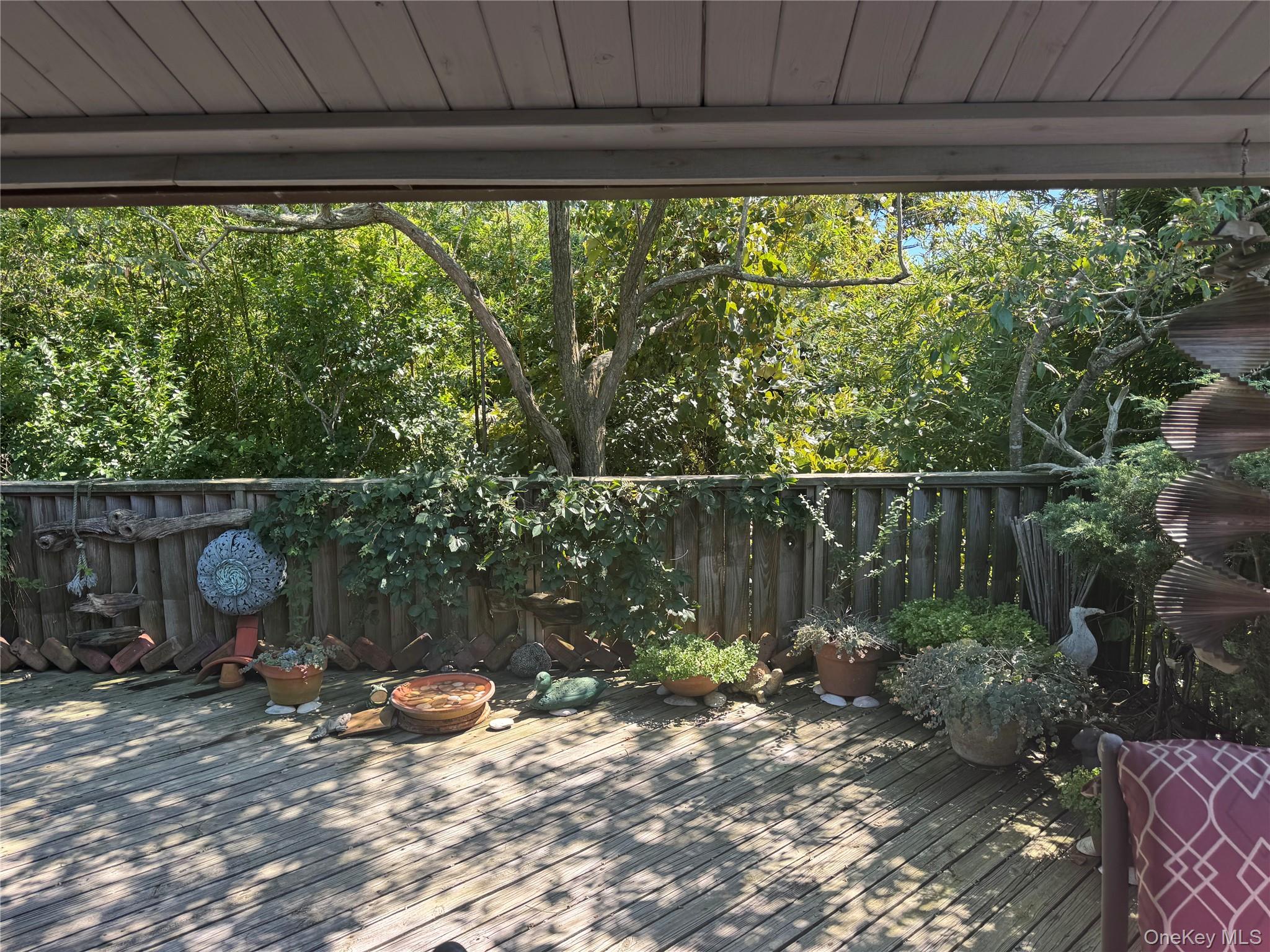 780 Surf Road Property Photo 3