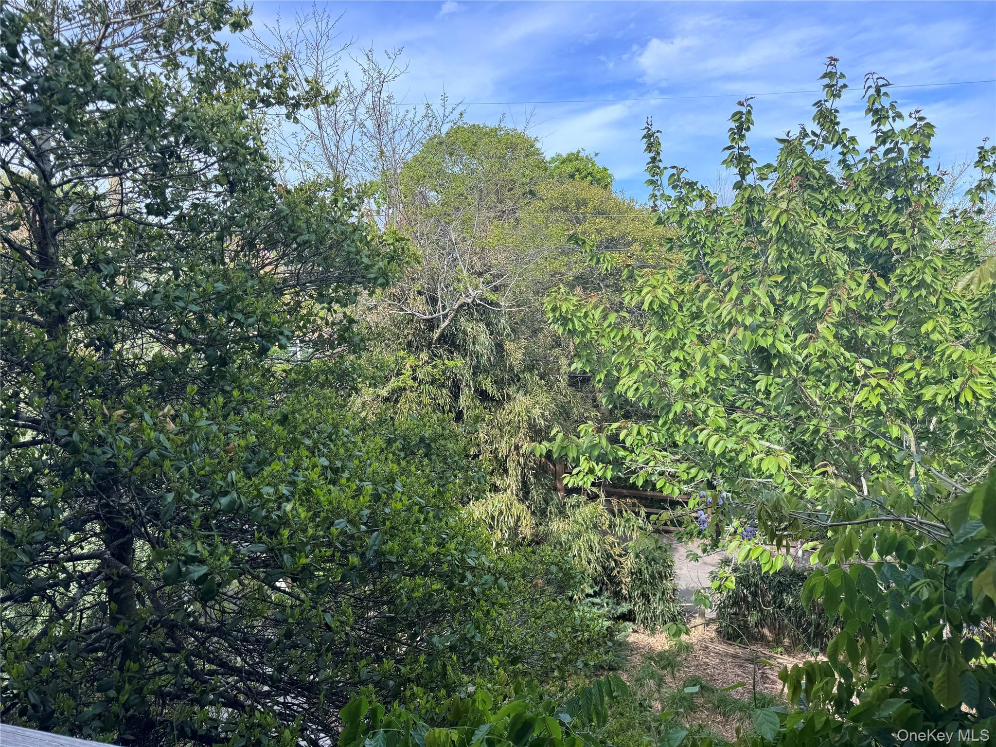 780 Surf Road Property Photo 22