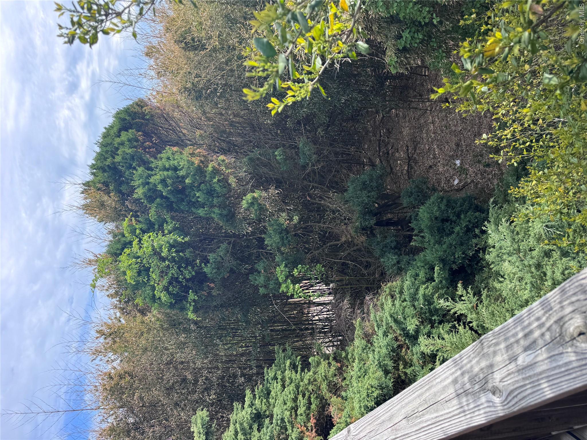 780 Surf Road Property Photo 26