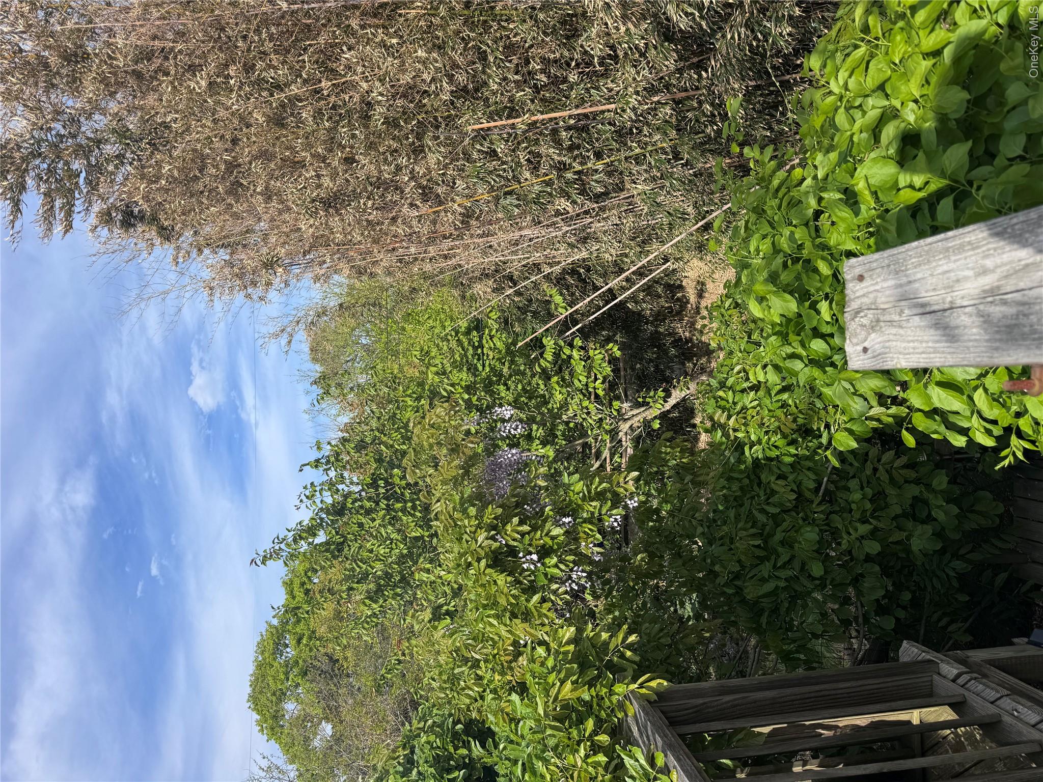 780 Surf Road Property Photo 32