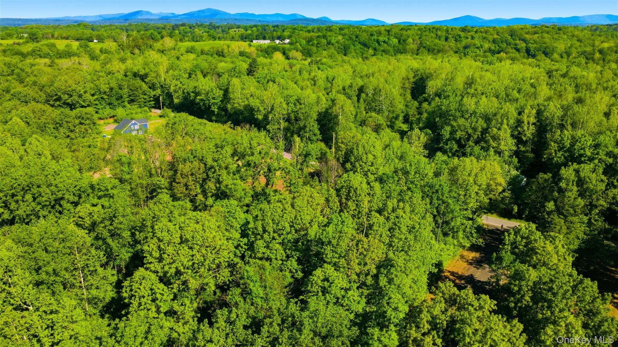 238 Bruceville Road Property Photo 4