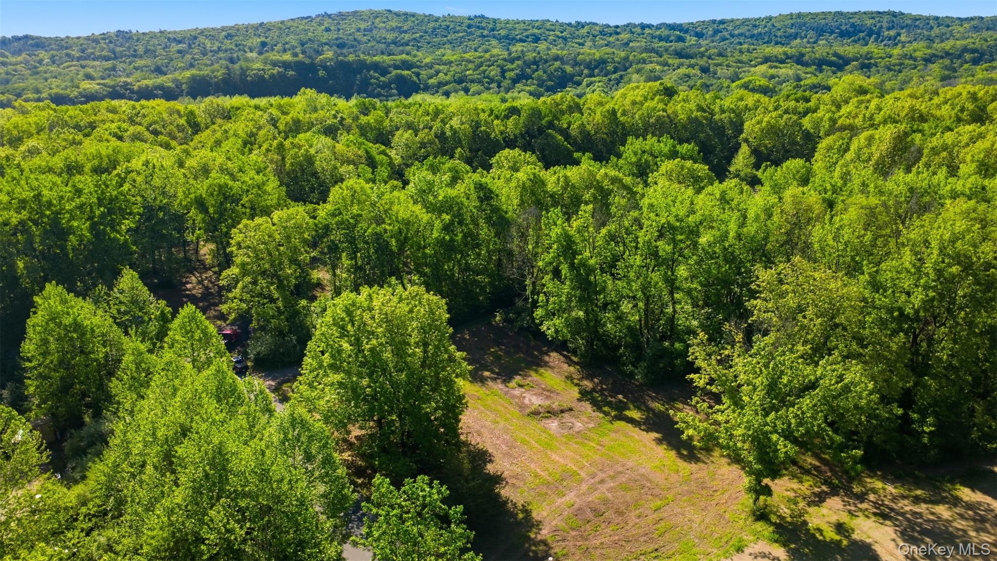 238 Bruceville Road Property Photo 6