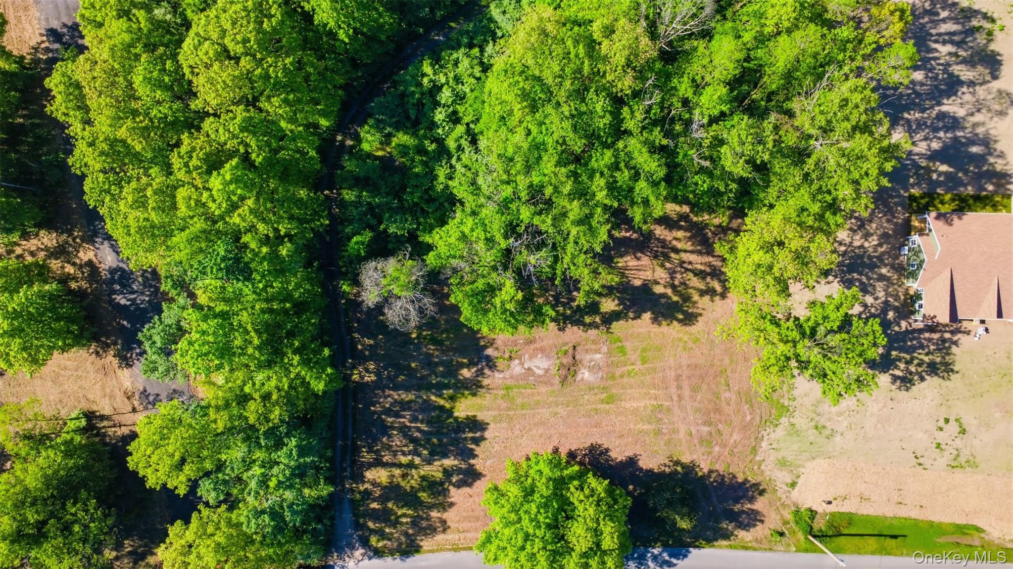 238 Bruceville Road Property Photo 7