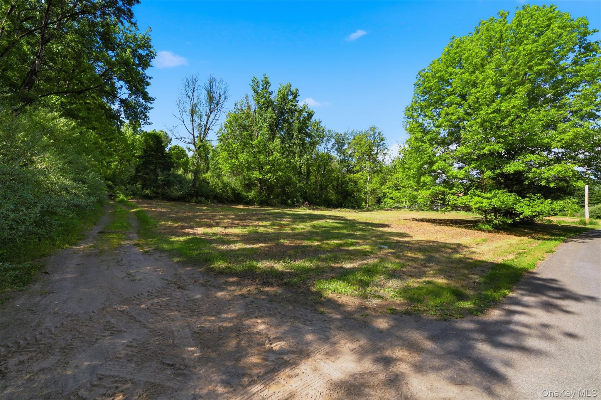 238 Bruceville Road Property Photo 11