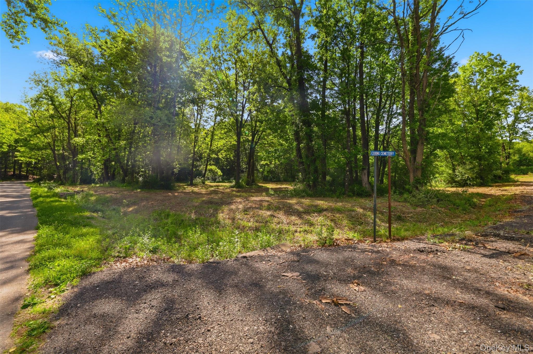 238 Bruceville Road Property Photo 13
