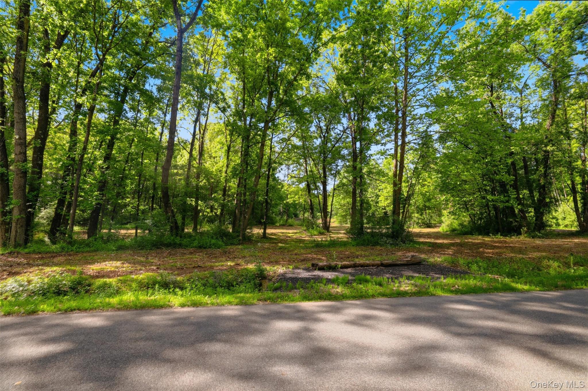 238 Bruceville Road Property Photo 14