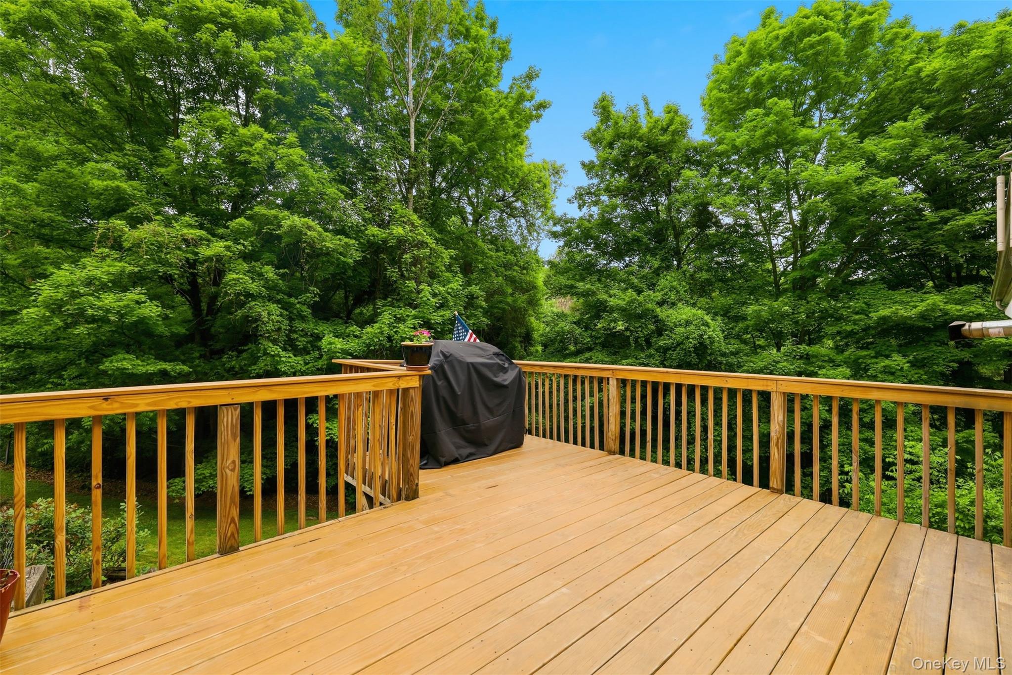 236 Hosner Mountain Road Property Photo 44