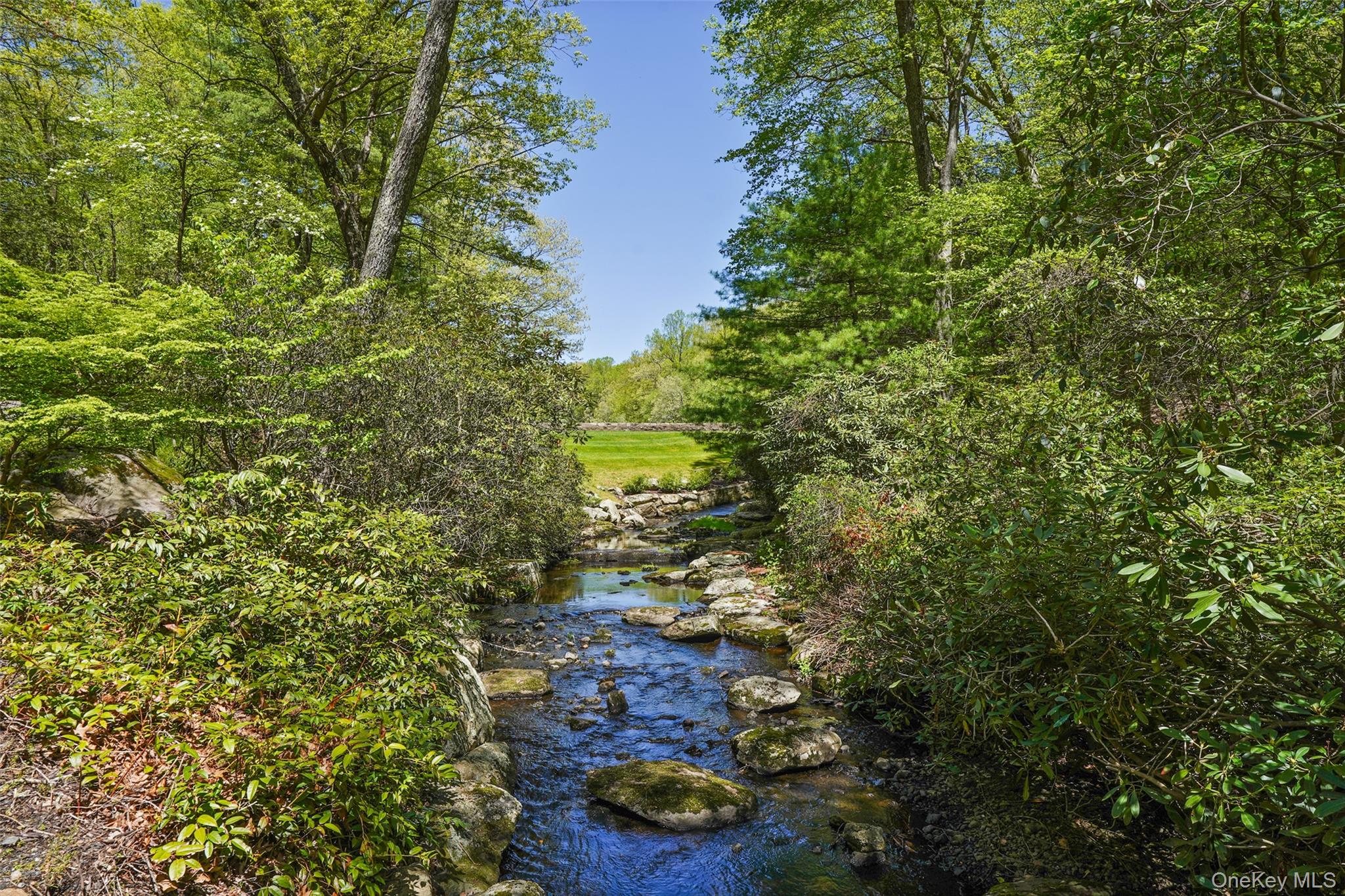 164 Eastwoods Road Property Photo 45