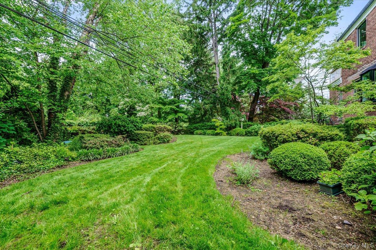 8 Parkside Drive Property Photo 31