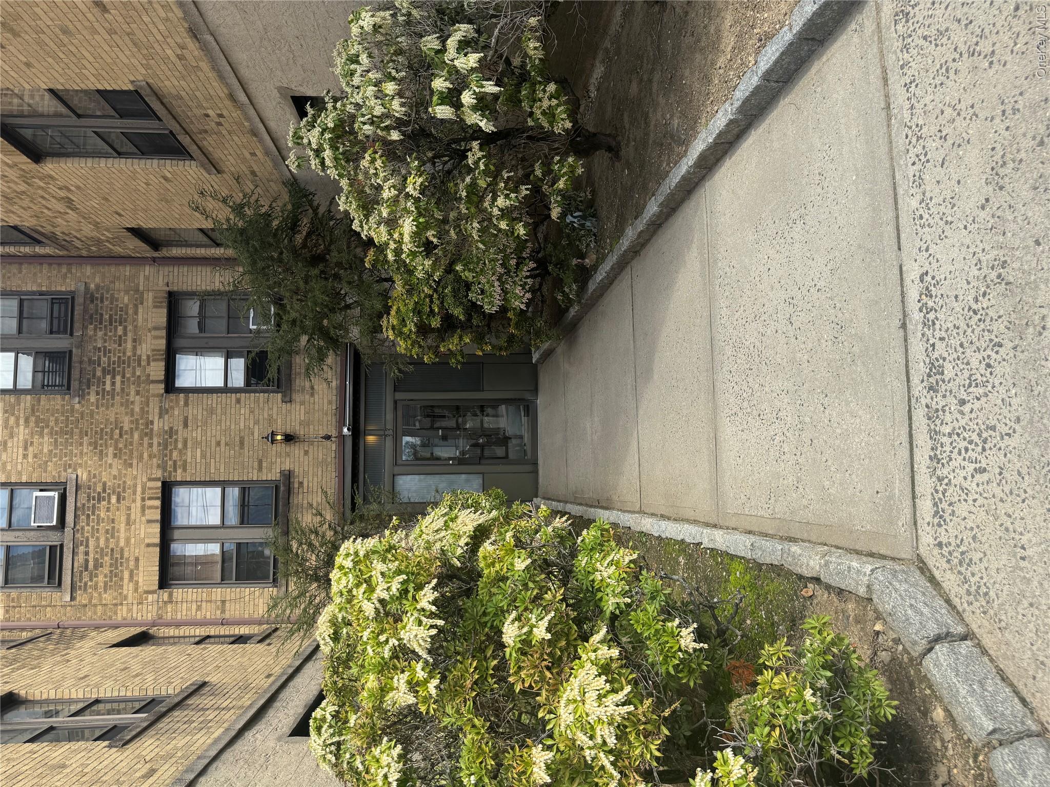 33 Douglas Avenue Property Photo 1