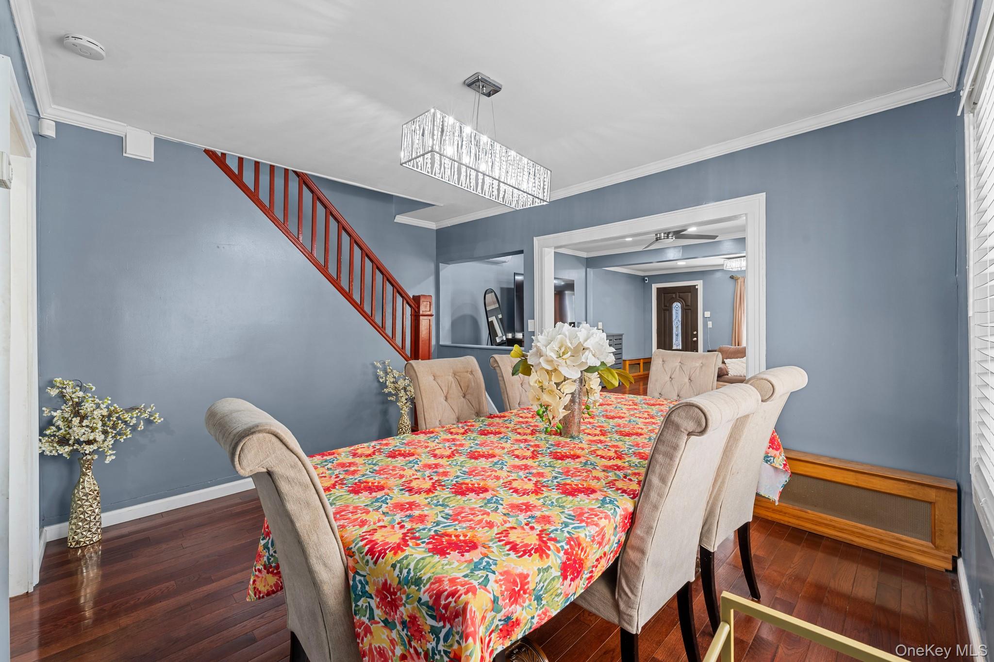 43 Dewitt Street Property Photo 10