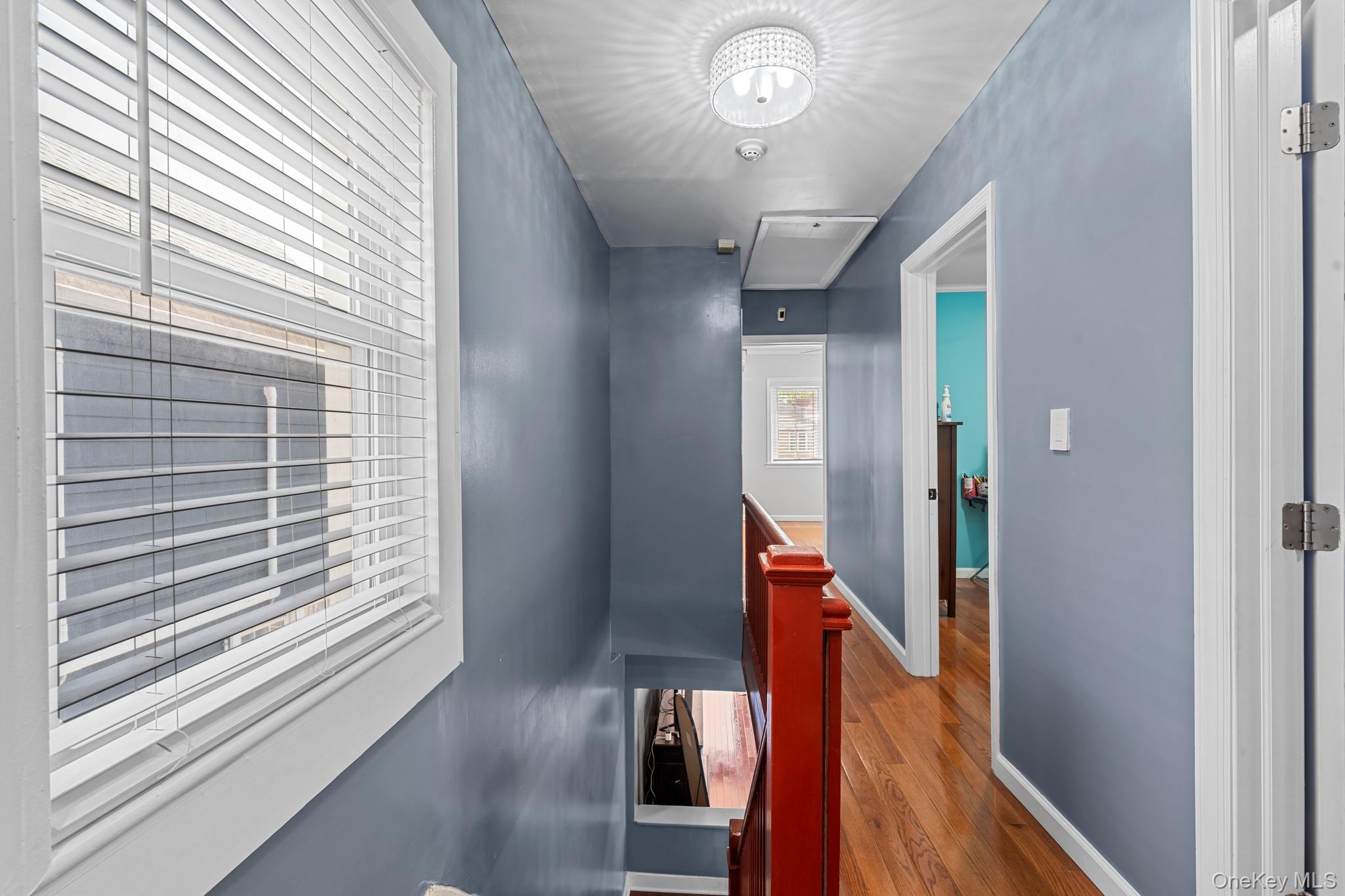 43 Dewitt Street Property Photo 25