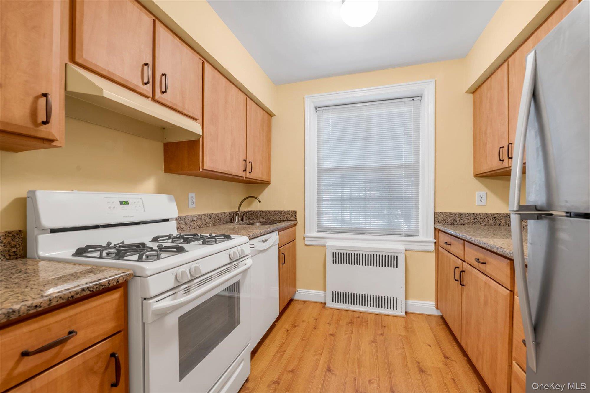 19 Schenck Avenue 1g Property Photo 7