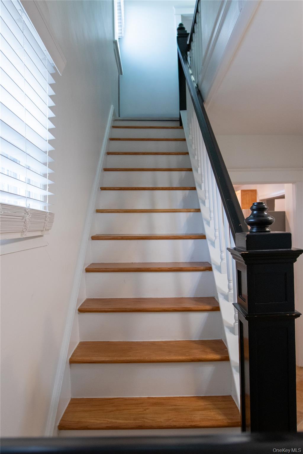 4810 Robertson Street Property Photo 7