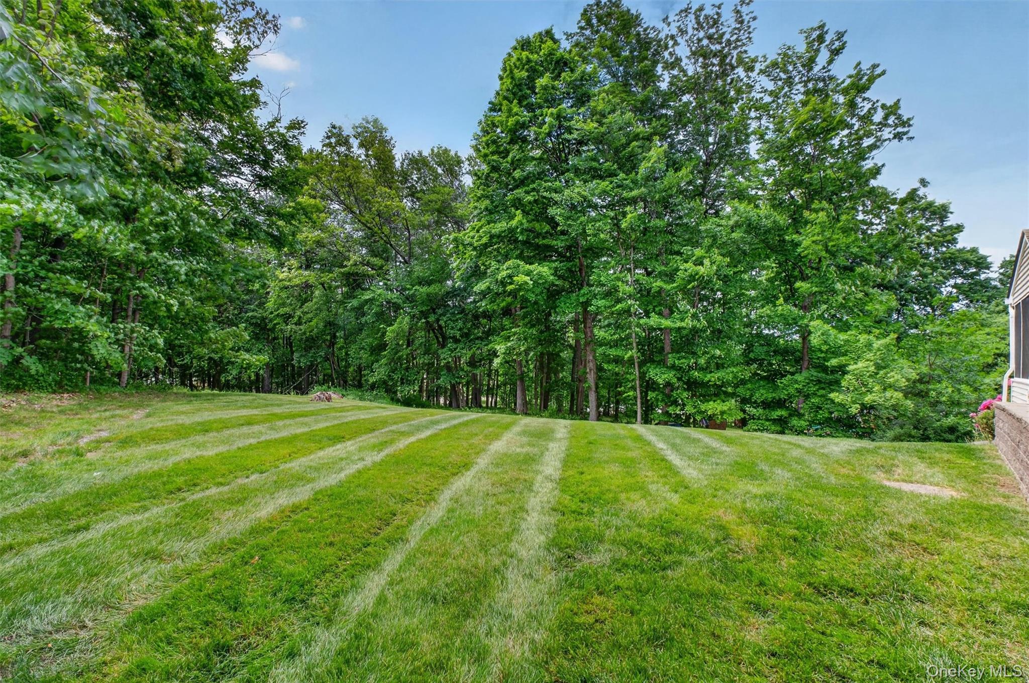 7 Pellbridge Drive Property Photo 36