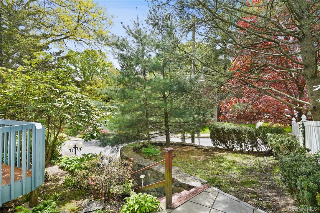 25 Barker Street 102 Property Photo 25