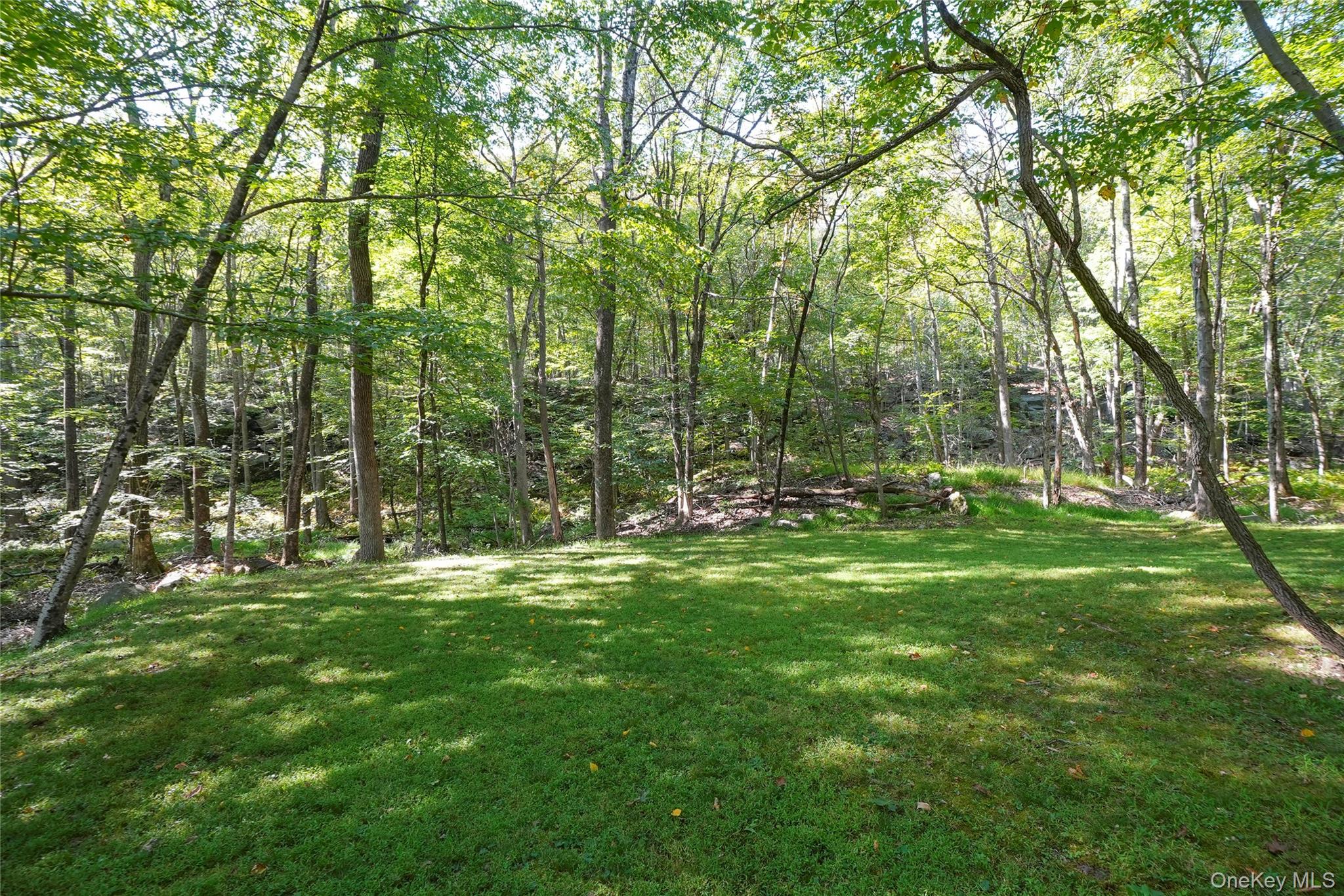 22 Peters Lane Property Photo 43