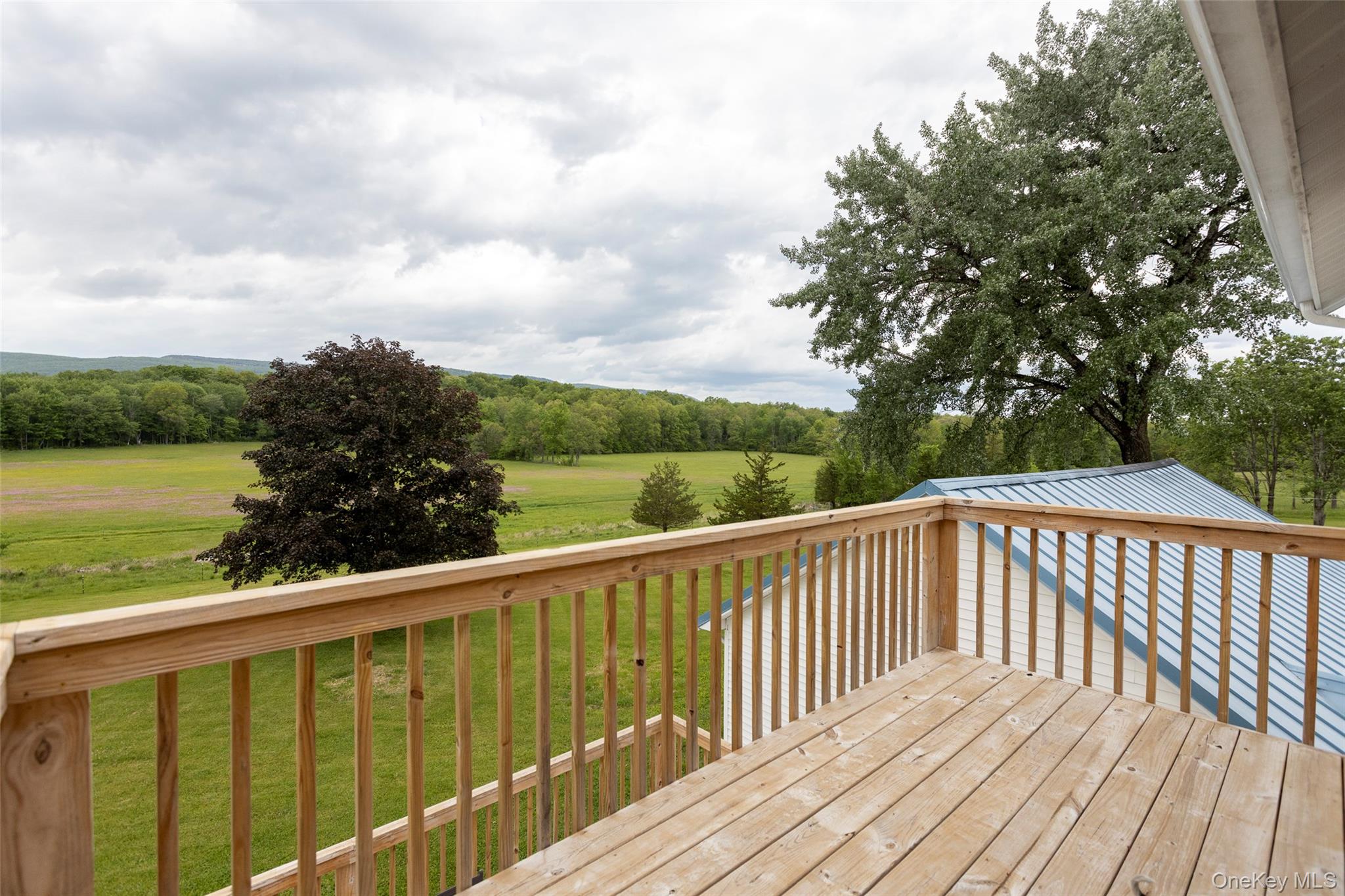 4 Low Road Property Photo 28