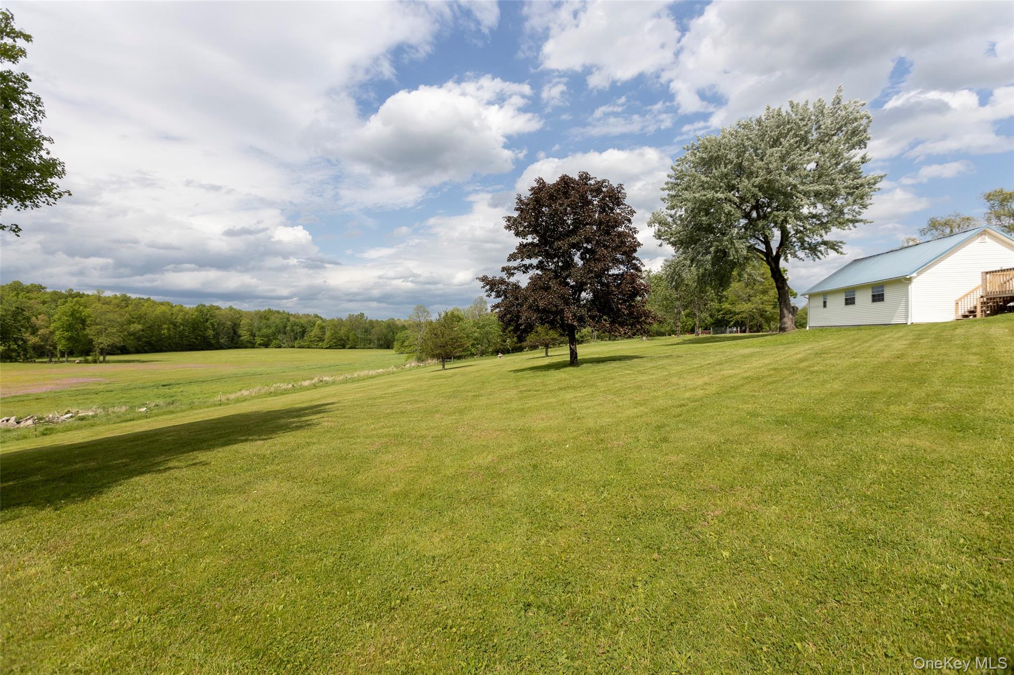 4 Low Road Property Photo 36