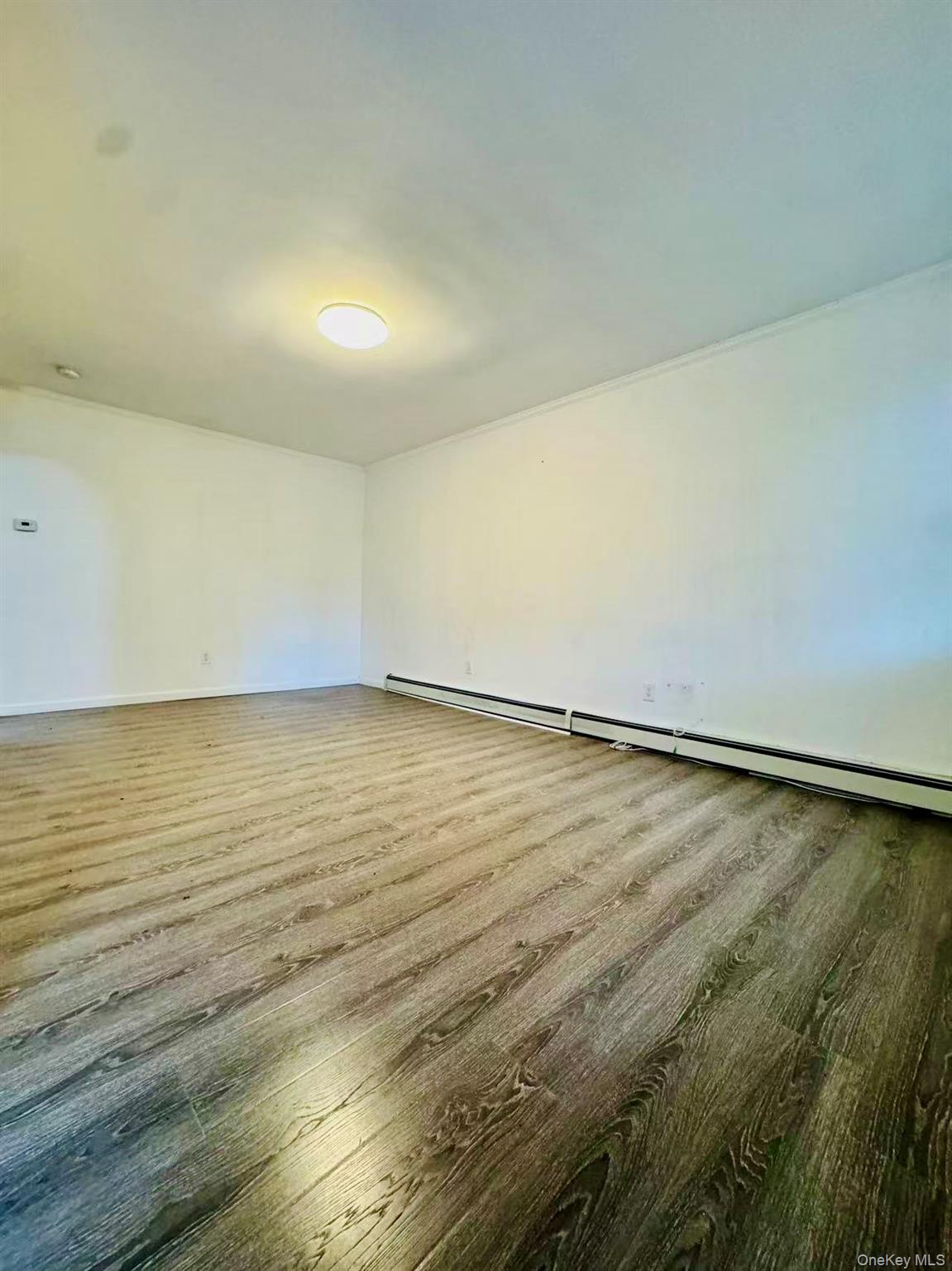 59-32 164th Street Property Photo 4