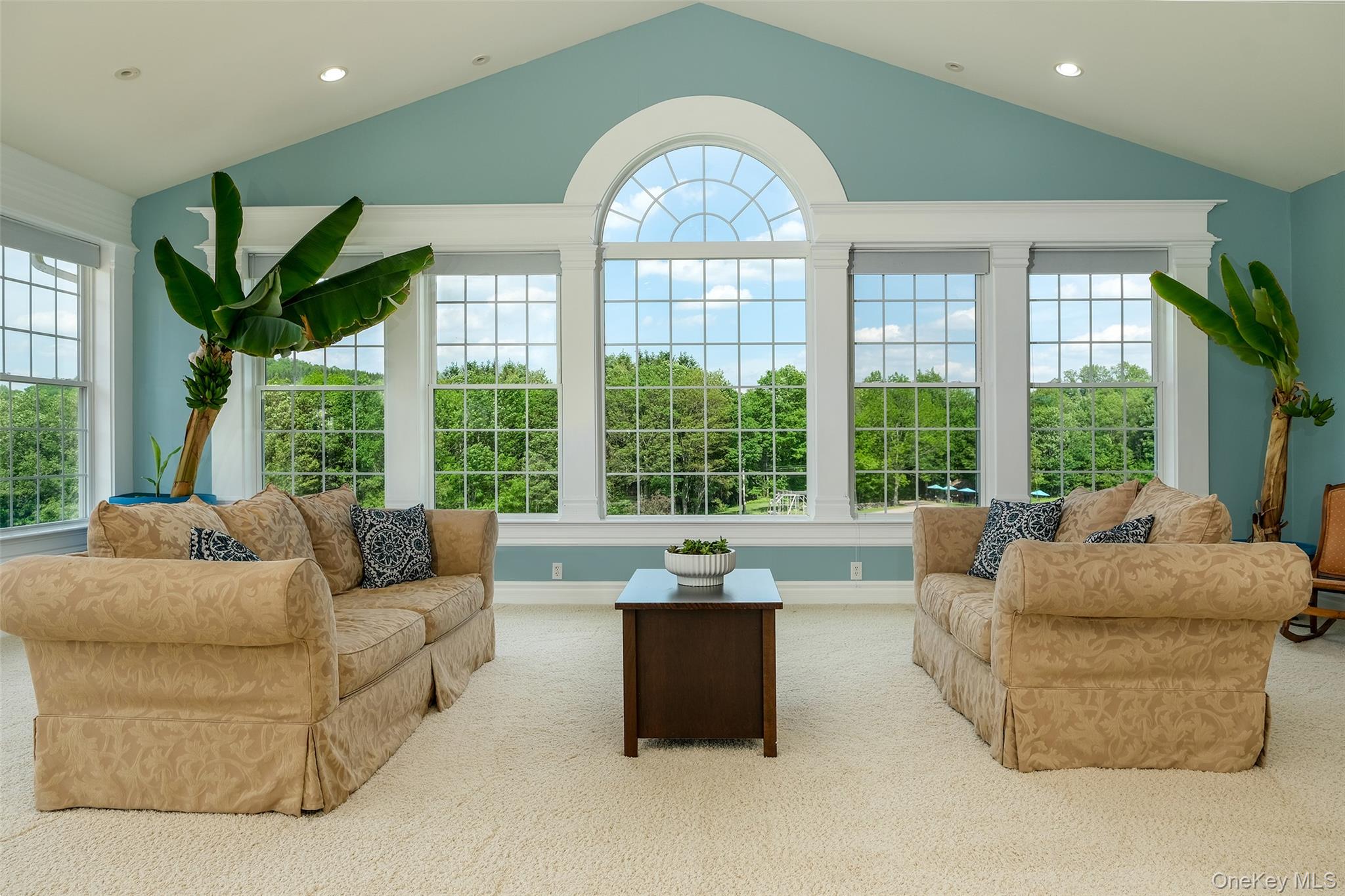 2651 Macgibbon Hollow Road Property Photo 22