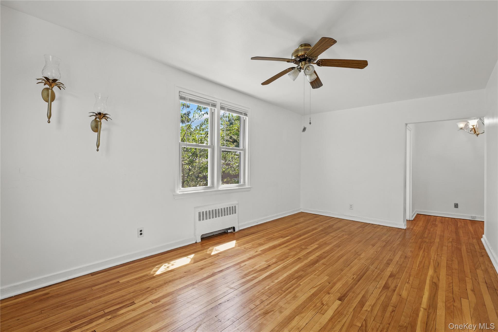 24 Winchester Avenue 2c Property Photo 6