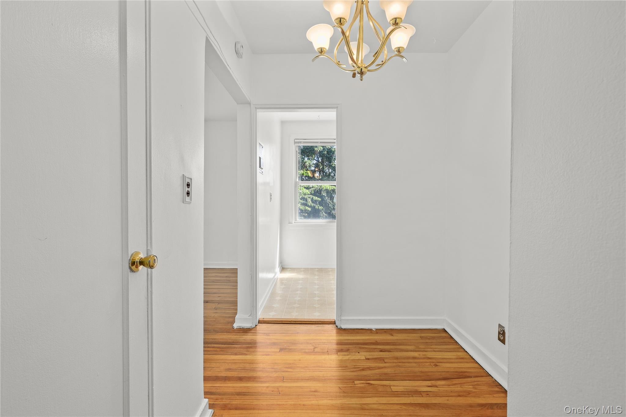 24 Winchester Avenue 2c Property Photo 8