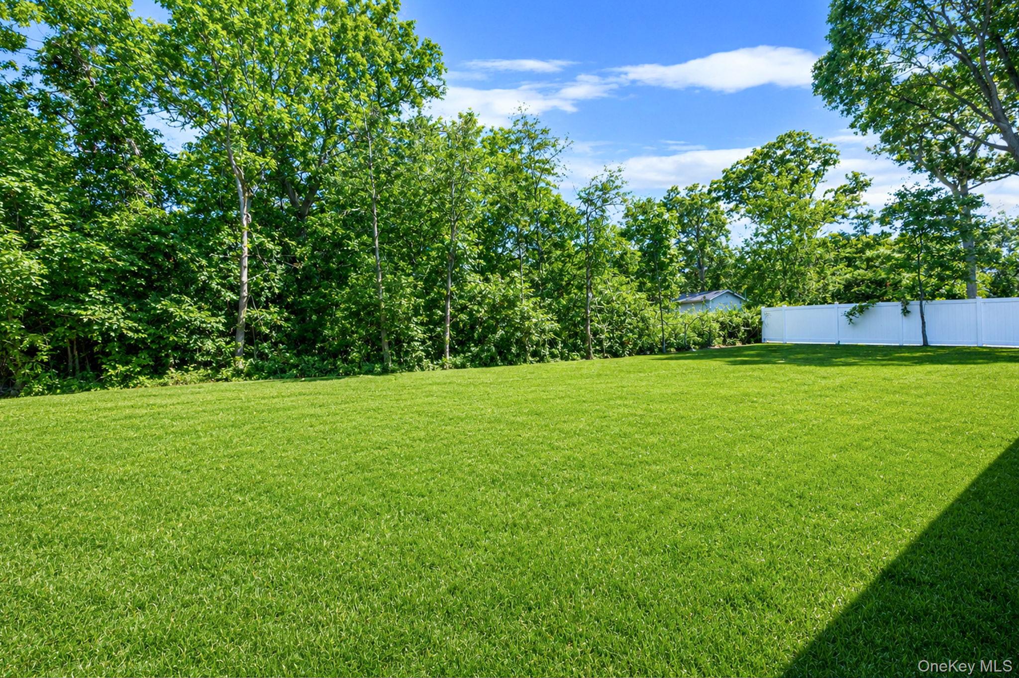 11 Henry Avenue Property Photo 20