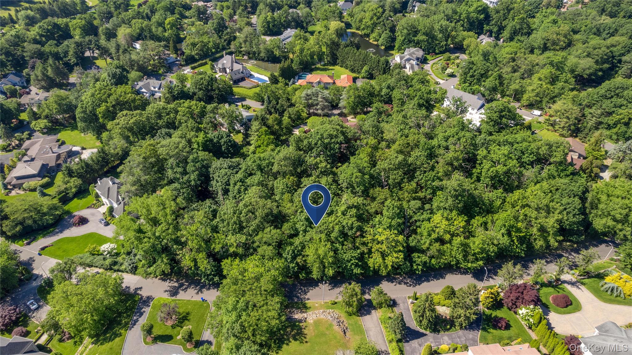 20 Mt. Holly