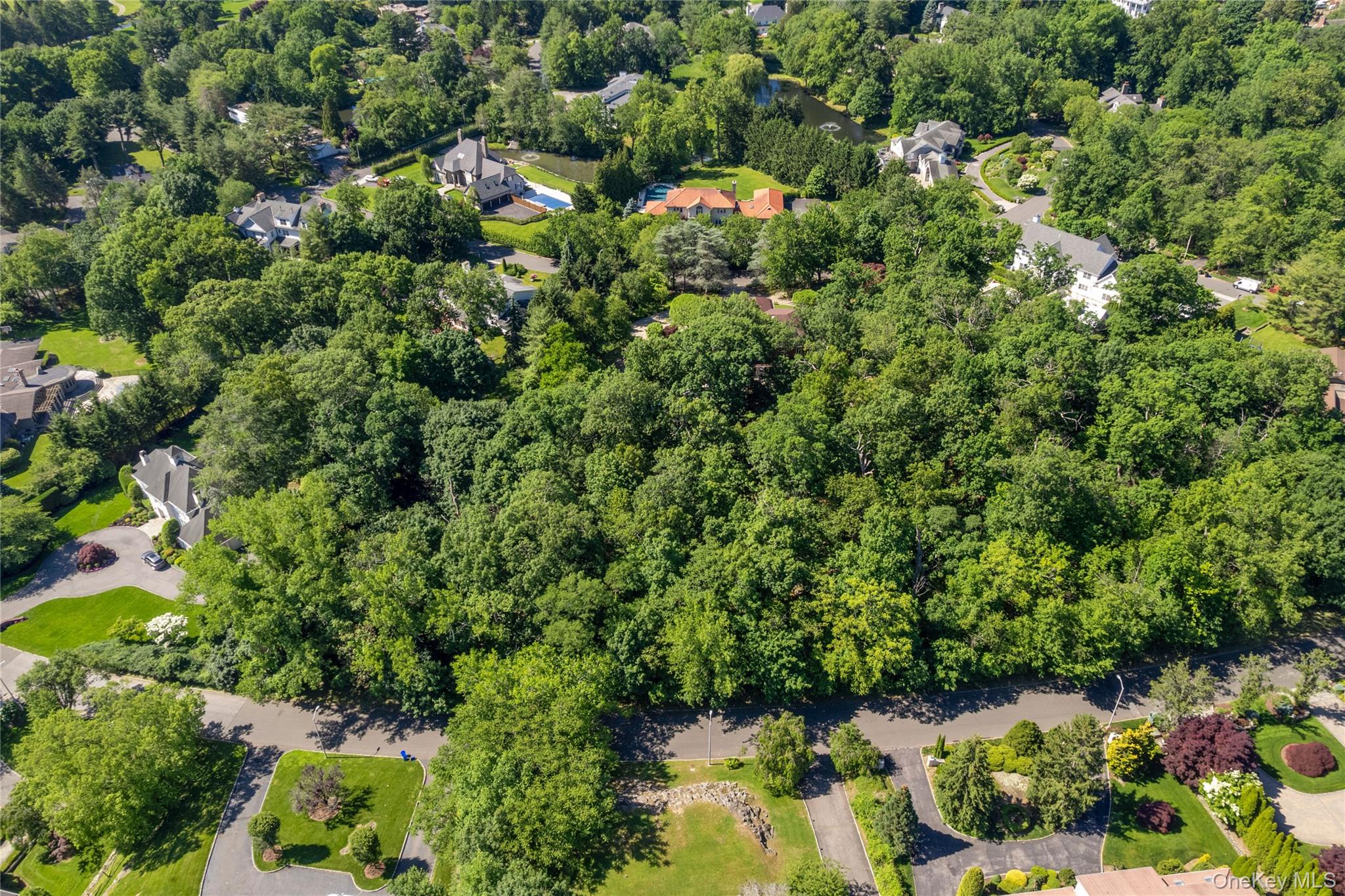 20 Mt. Holly Property Photo 2