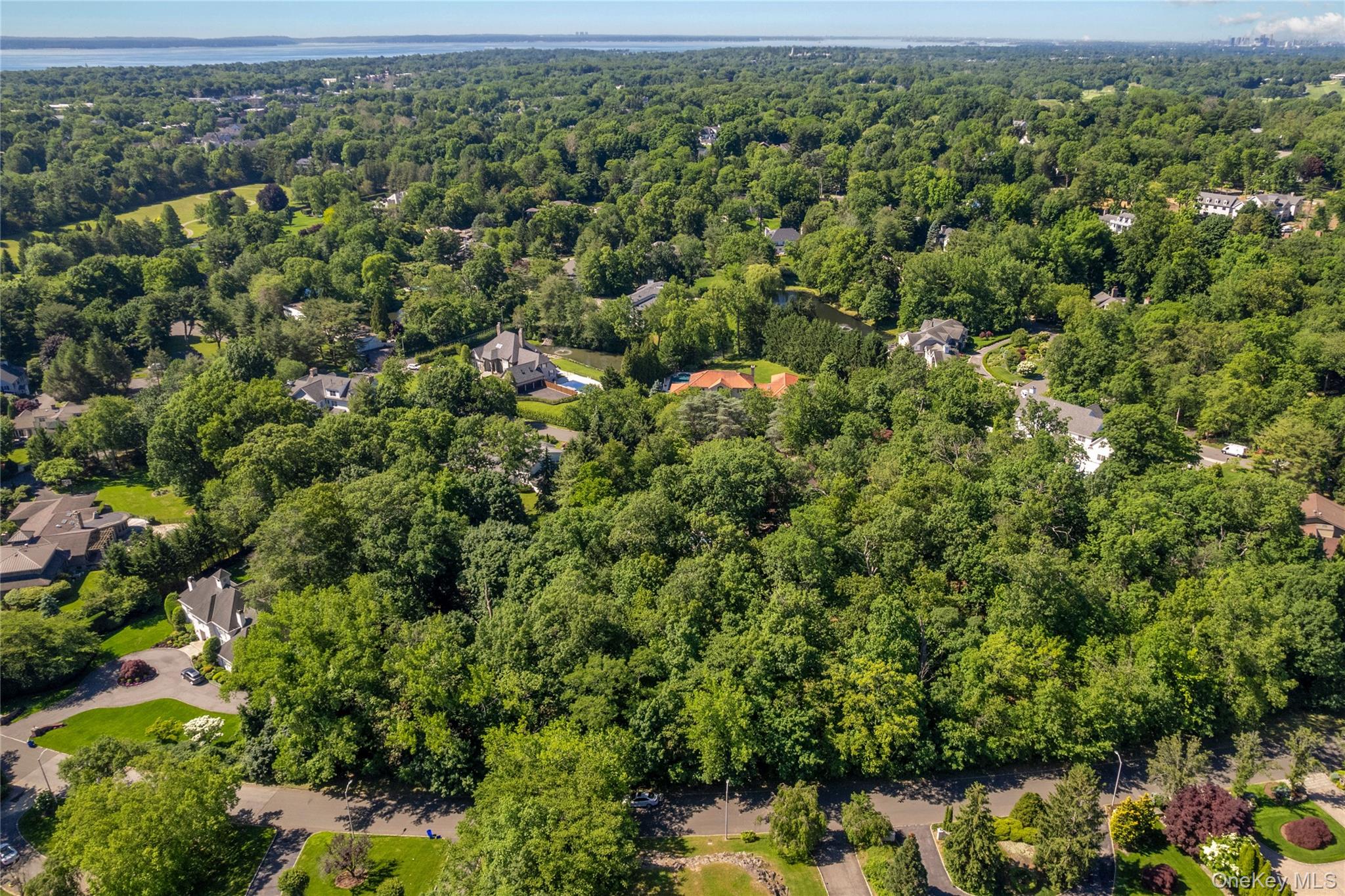 20 Mt. Holly Property Photo 3