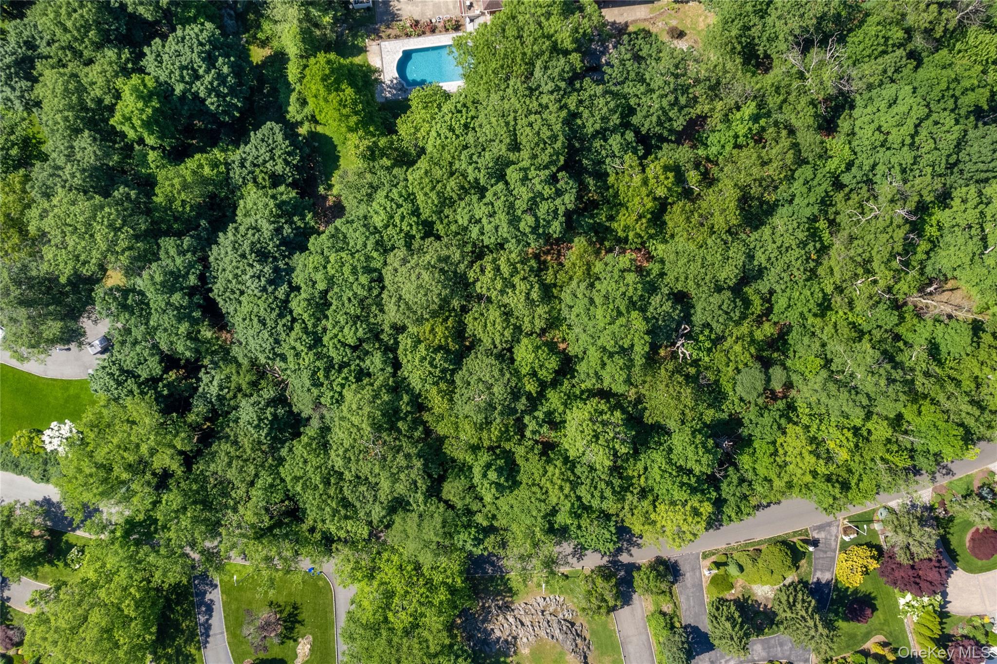 20 Mt. Holly Property Photo 5