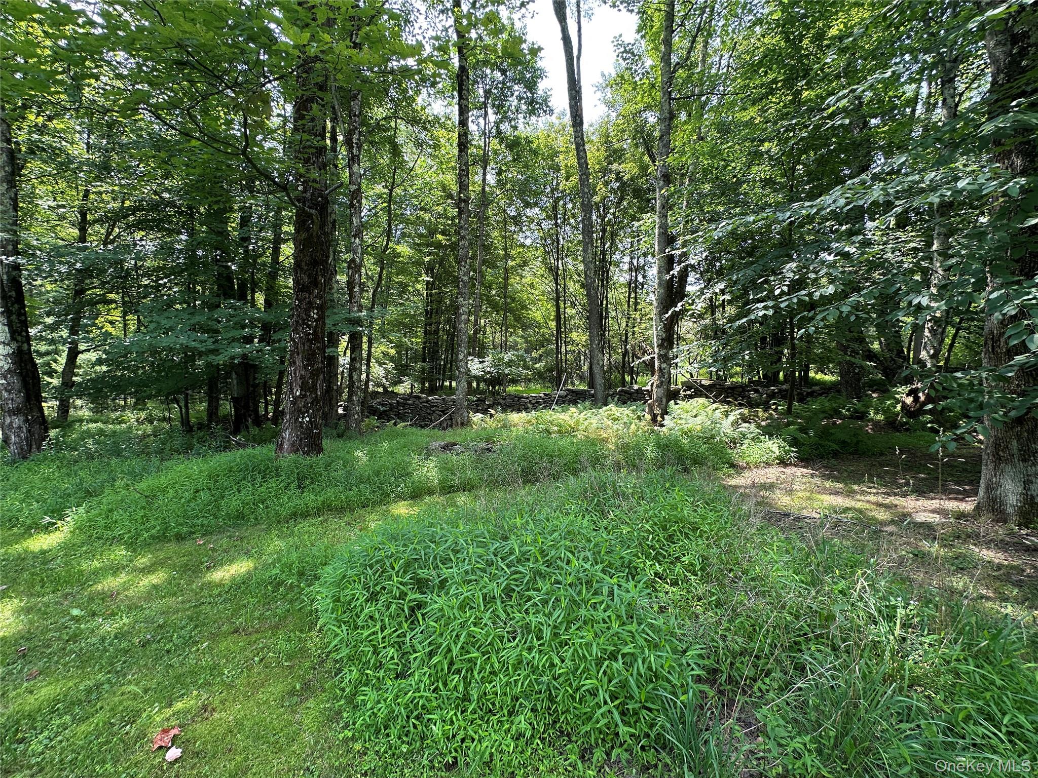 81 Lindholm Road Property Photo 3