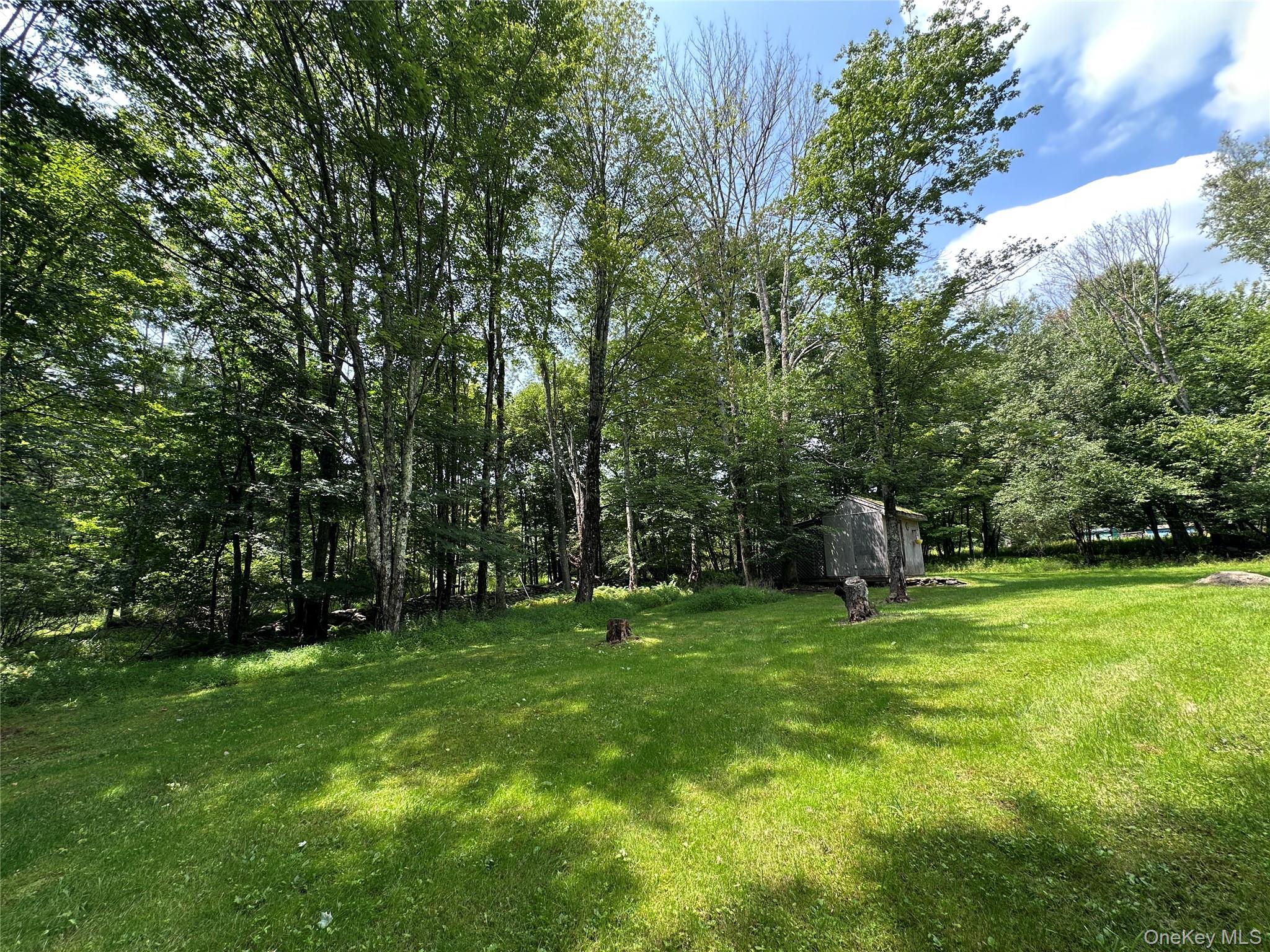 81 Lindholm Road Property Photo 25