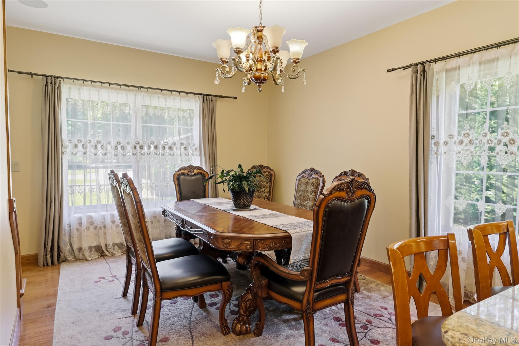 225 Old Willets Path Property Photo 4