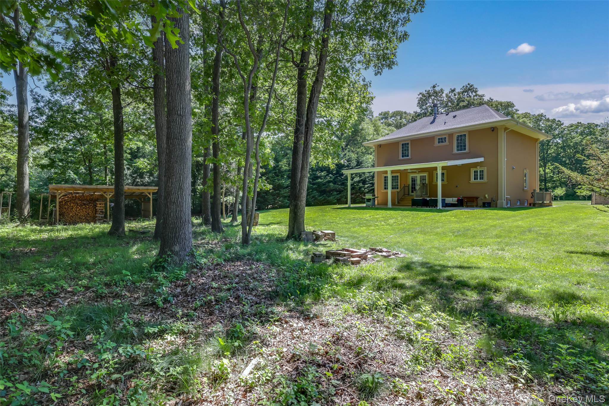 225 Old Willets Path Property Photo 29