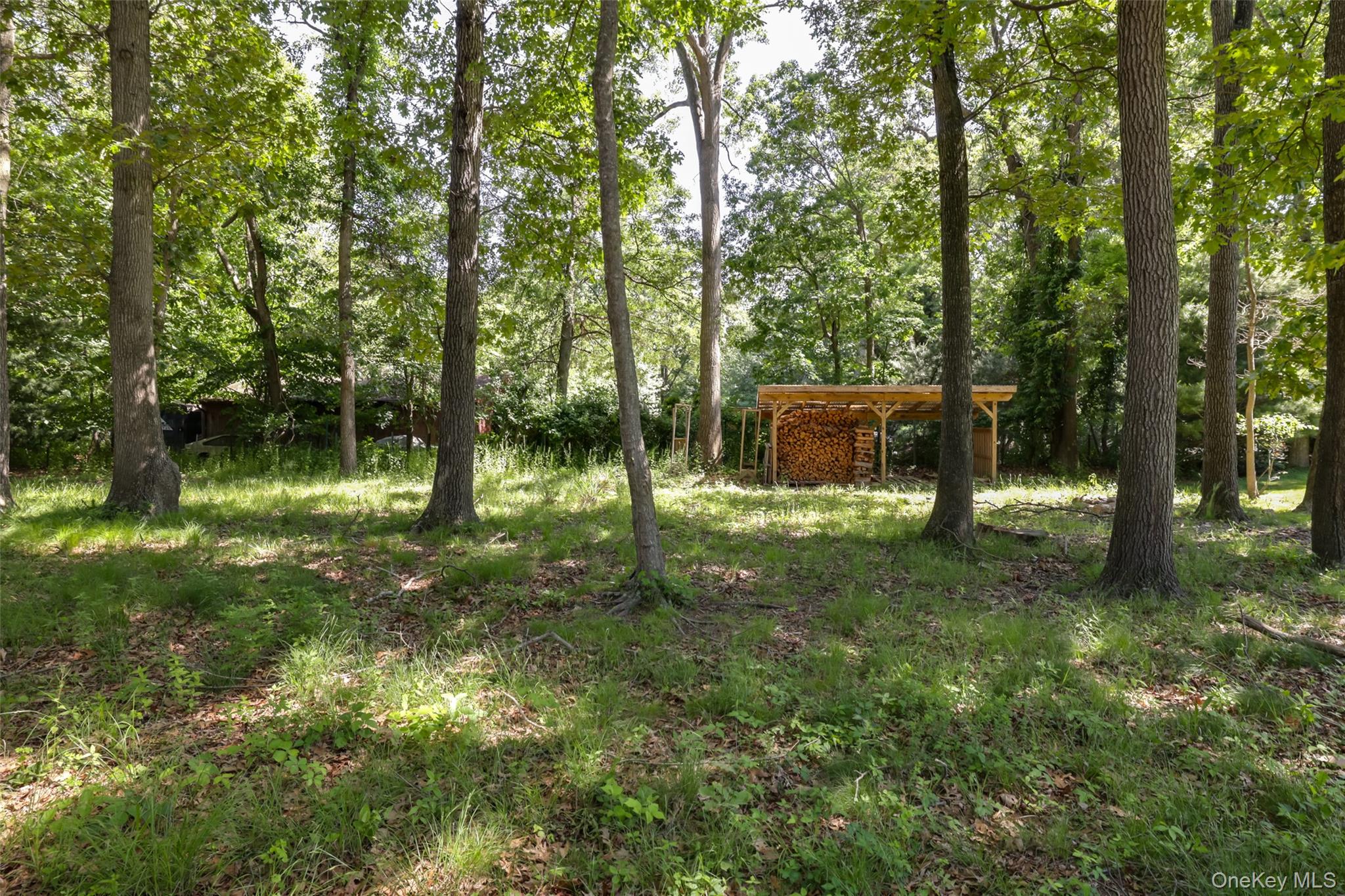225 Old Willets Path Property Photo 31