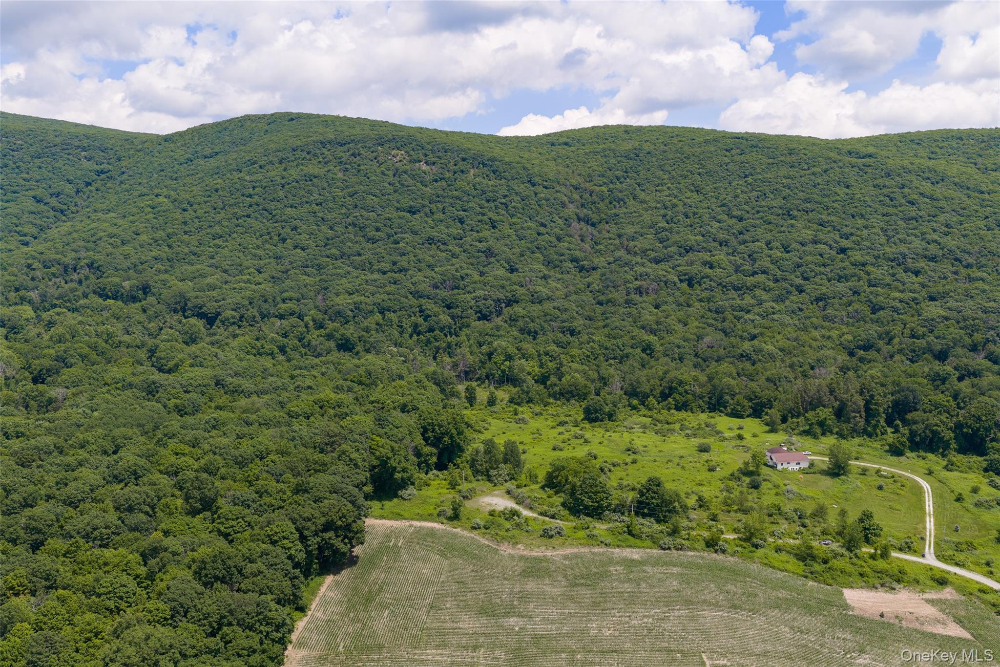 Mountain Edge Lane Property Photo 3