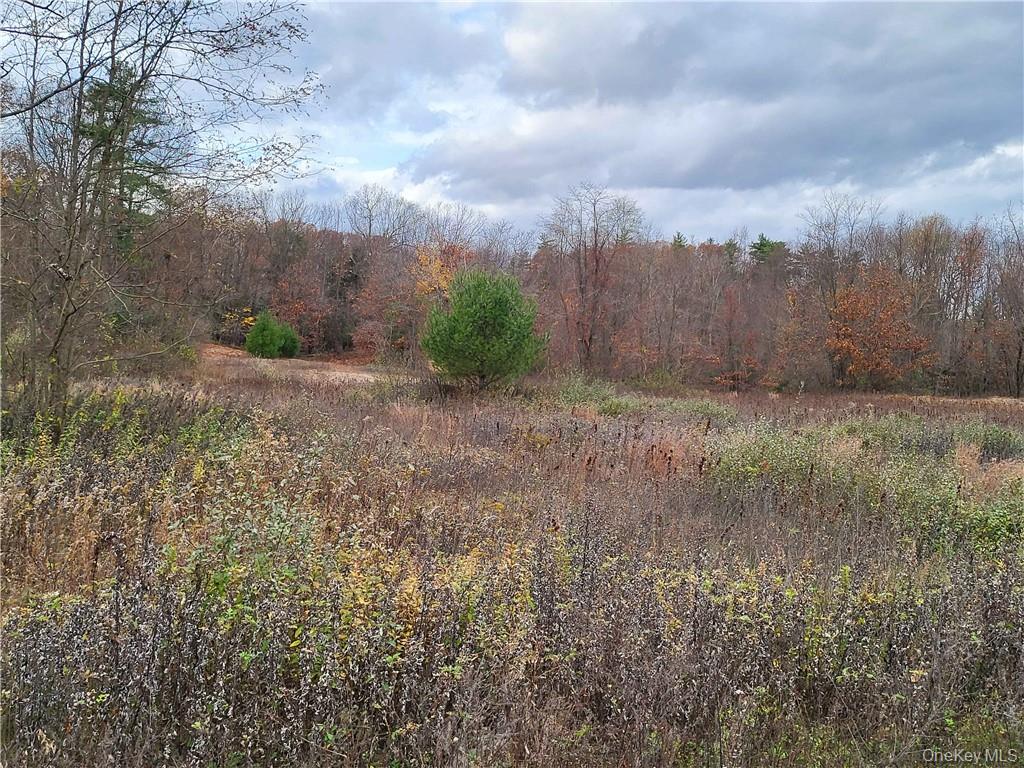 Ashley Drive - Lot 5 Property Photo 1